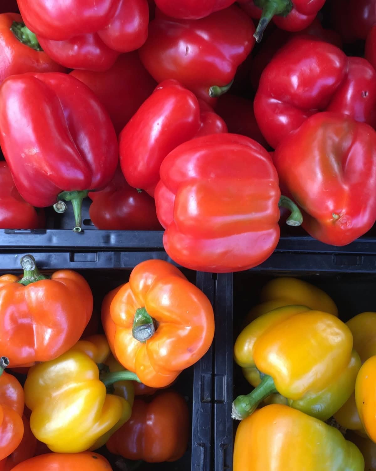 Red, yellow and orange bell peppers.