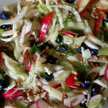 slaw with apples, fennel, blueberries, and radishes