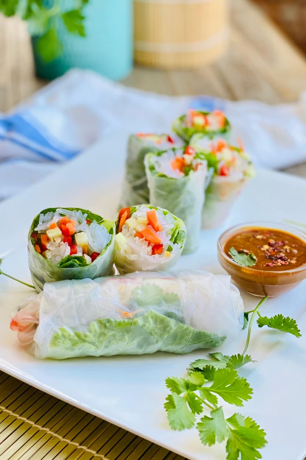 Fresh vegetable spring rolls with peanut sesame dipping sauce.