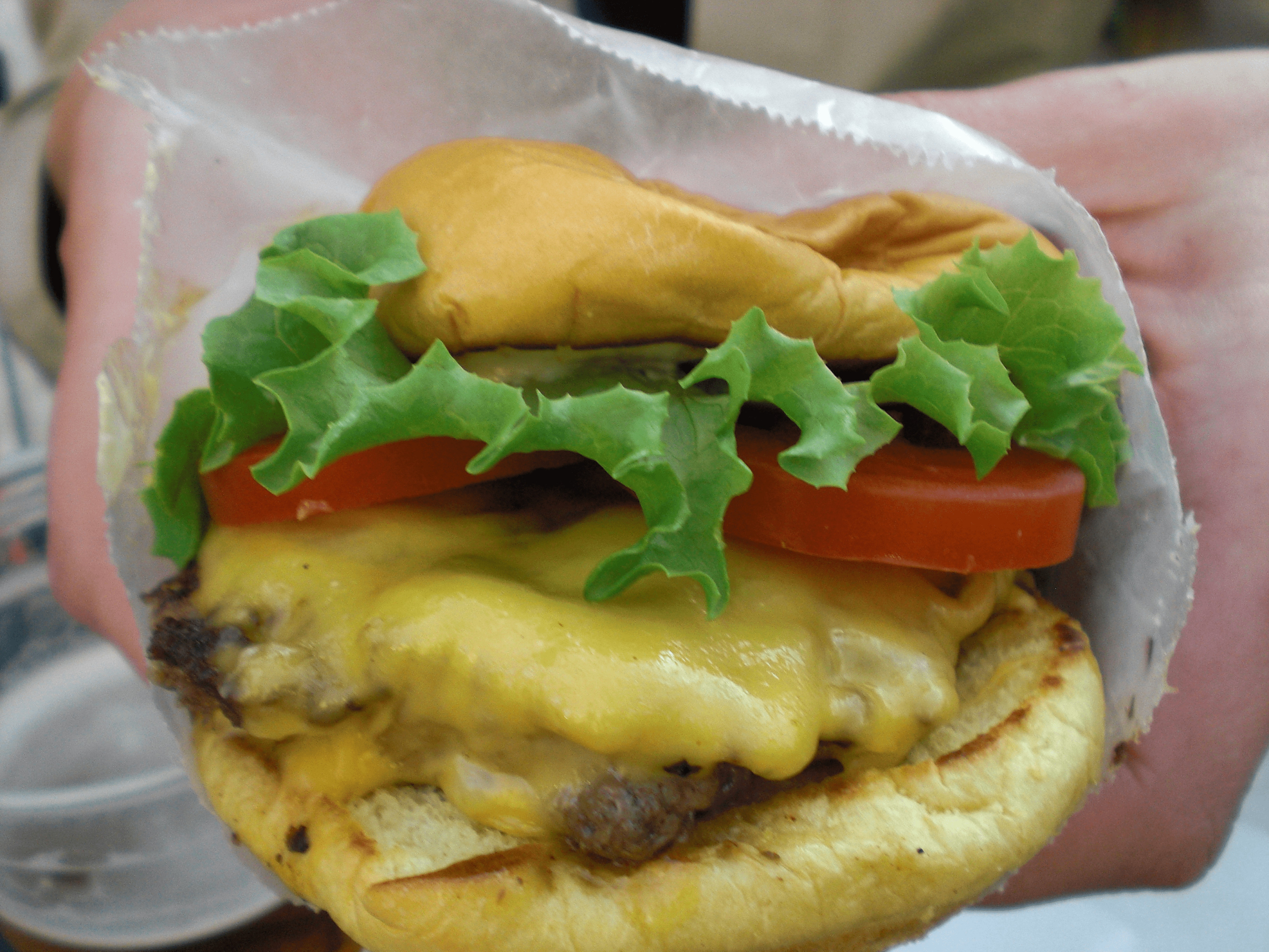 An all American burger with lettuce, tomato and melted cheese.
