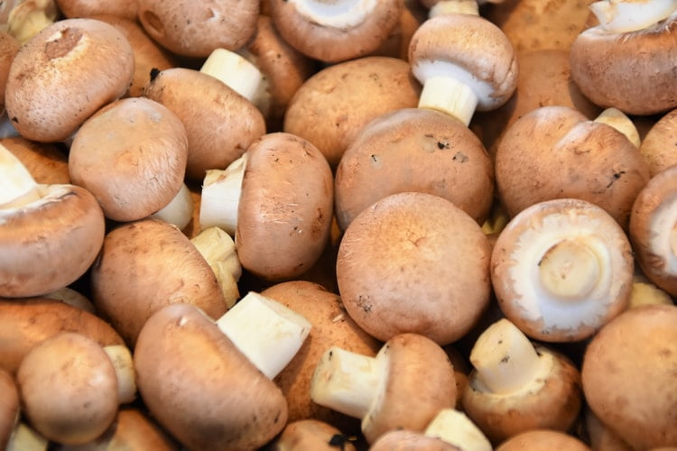 cremini mushrooms