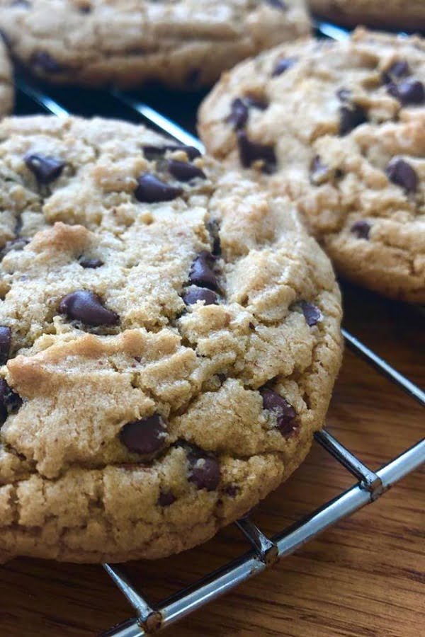 jumbo almond butter chocolate chip cookeis