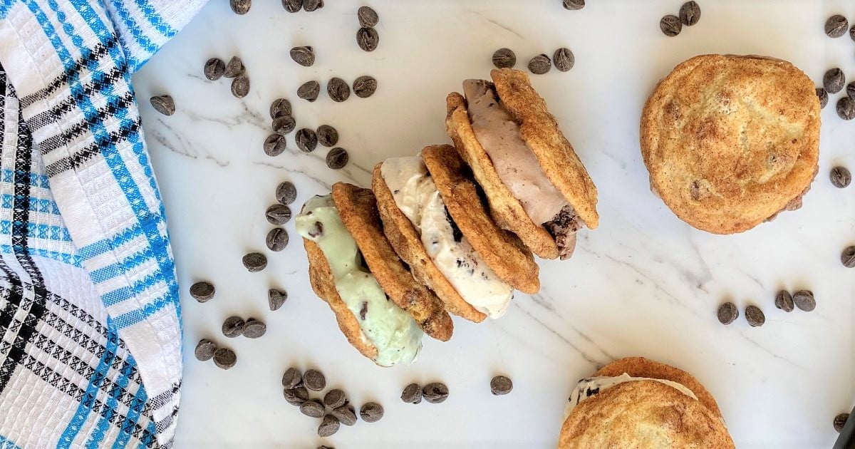 Snickerdoodle Cookie Ice Cream Sandwich