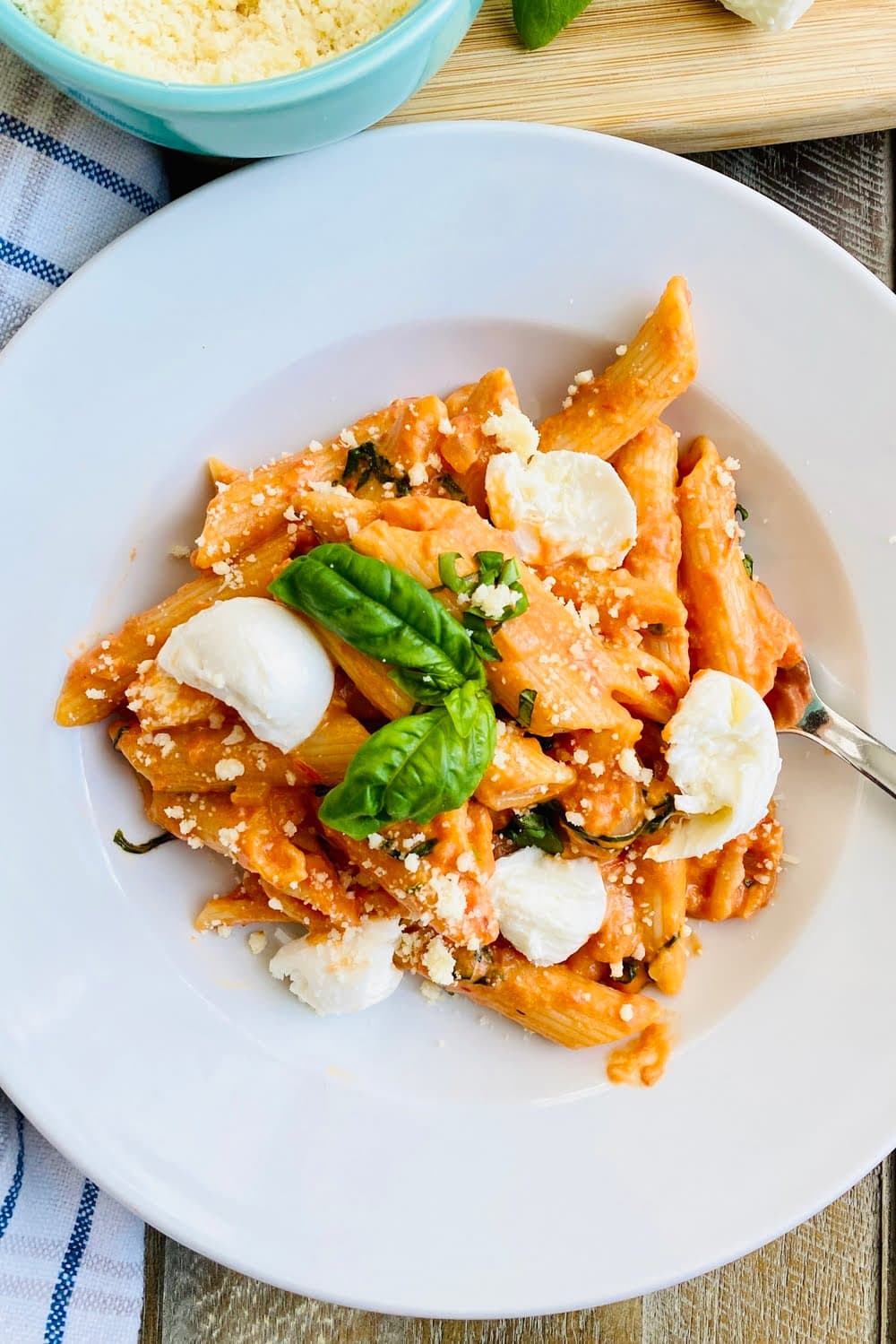 A bowl of creamy tomato pasta and fresh mozzarella.