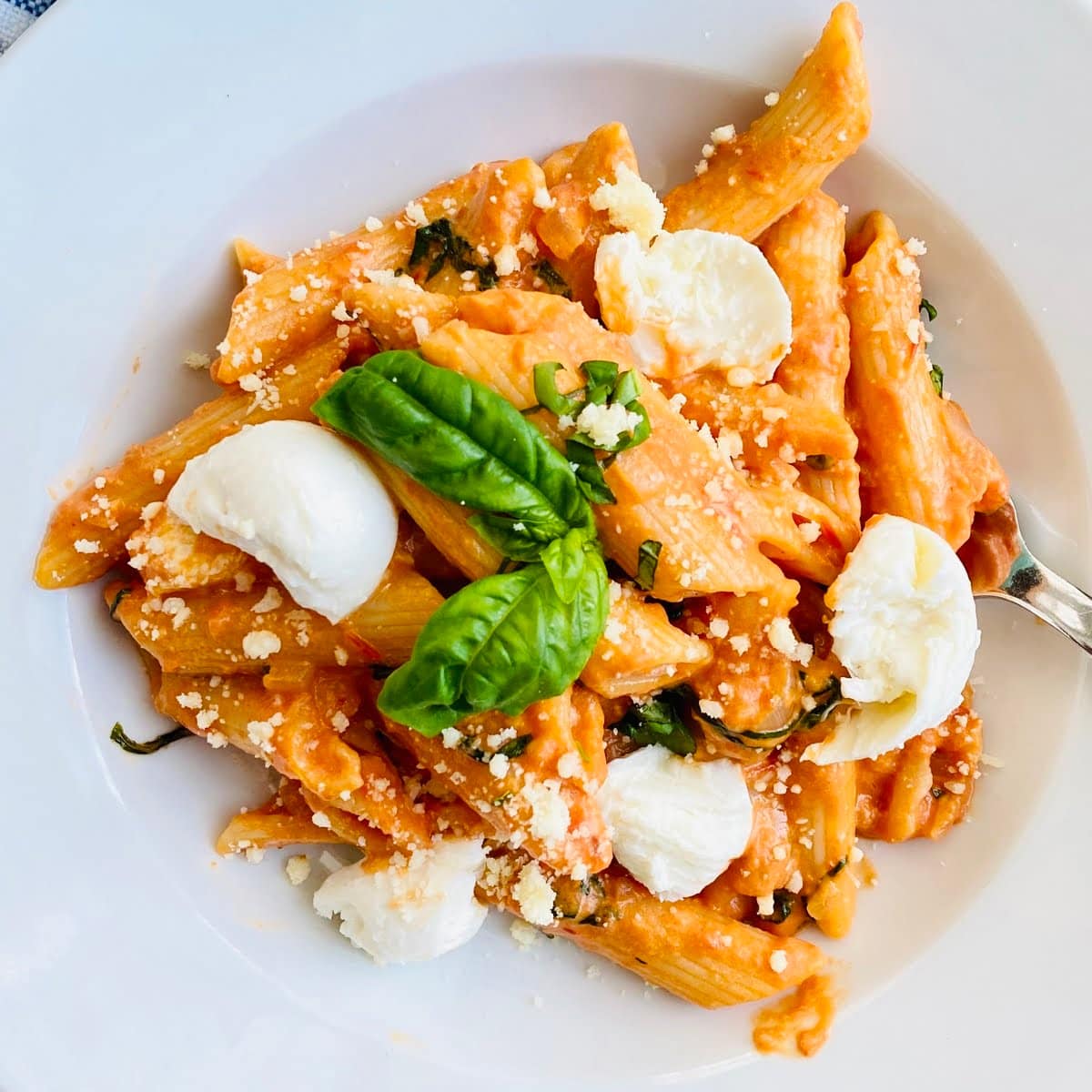 A bowl of pasta with a creamy sauce and fresh mozzarella.