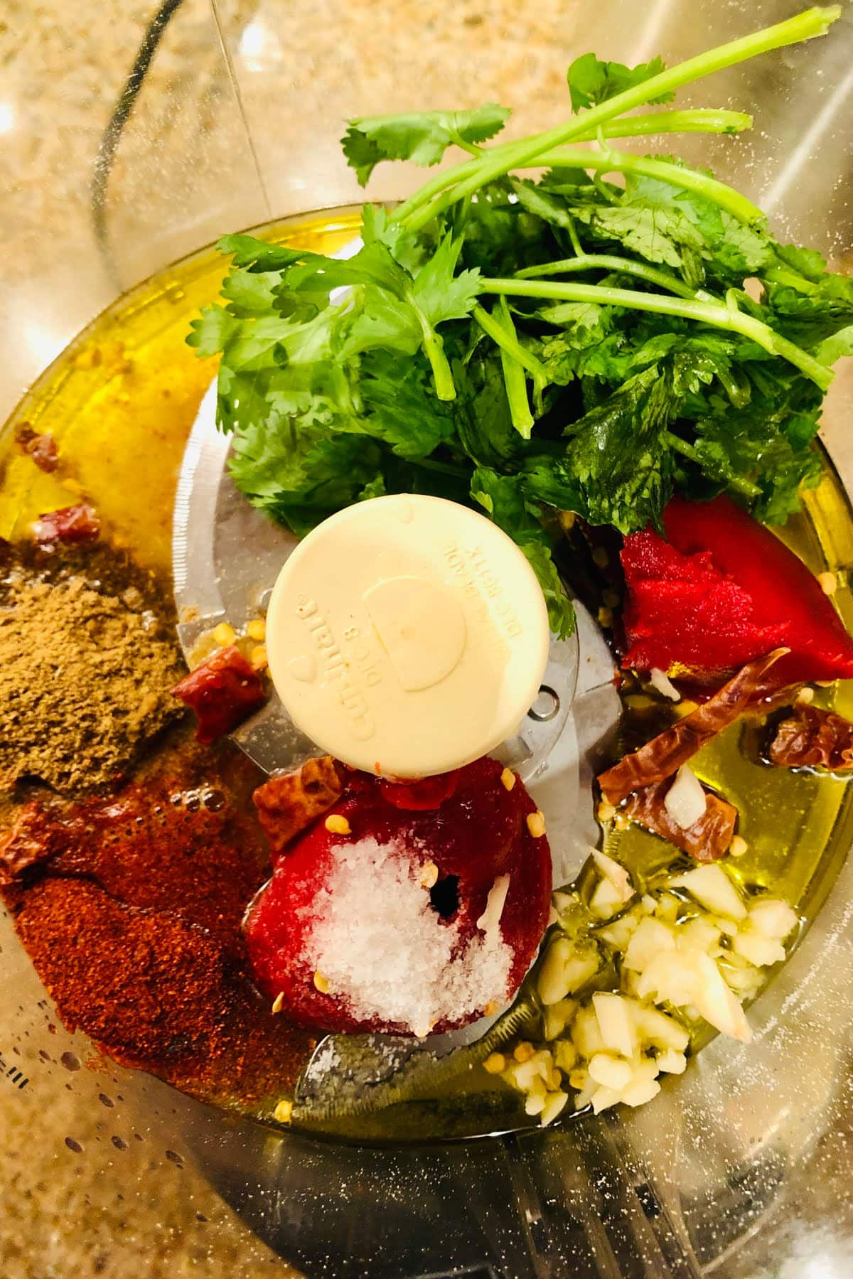food processor with cilantro, dried chiles, cumin, tomato paste, garlic, olive oil
