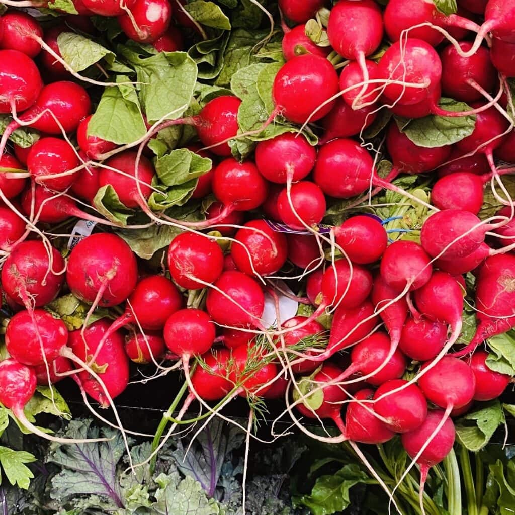 bunches of radishes
