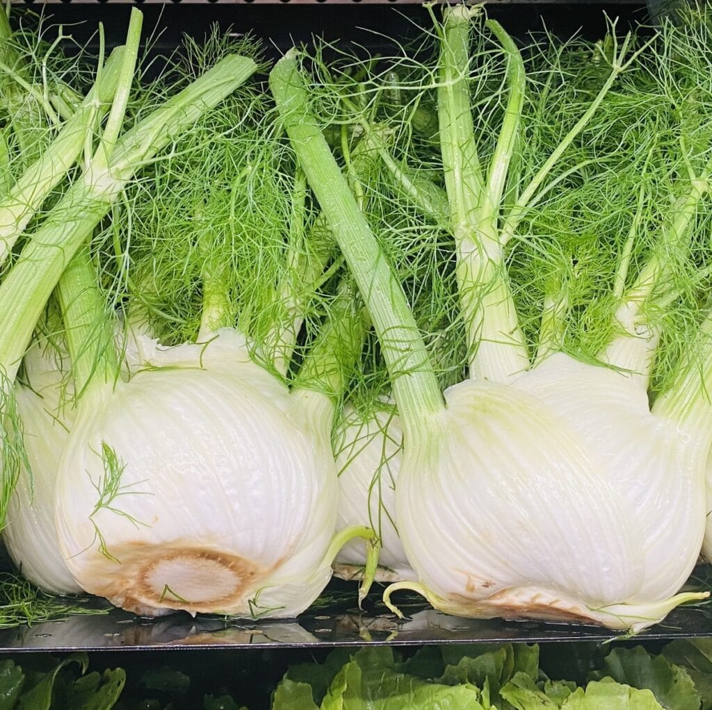 fennel bulbs