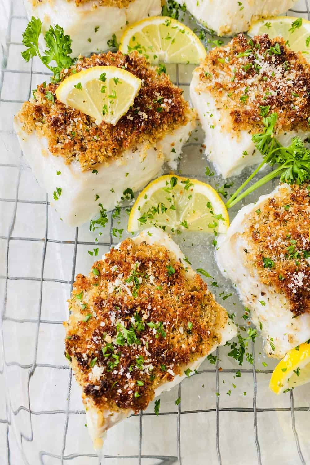 Fish with with Parmesan bread crumbs for oreganata.