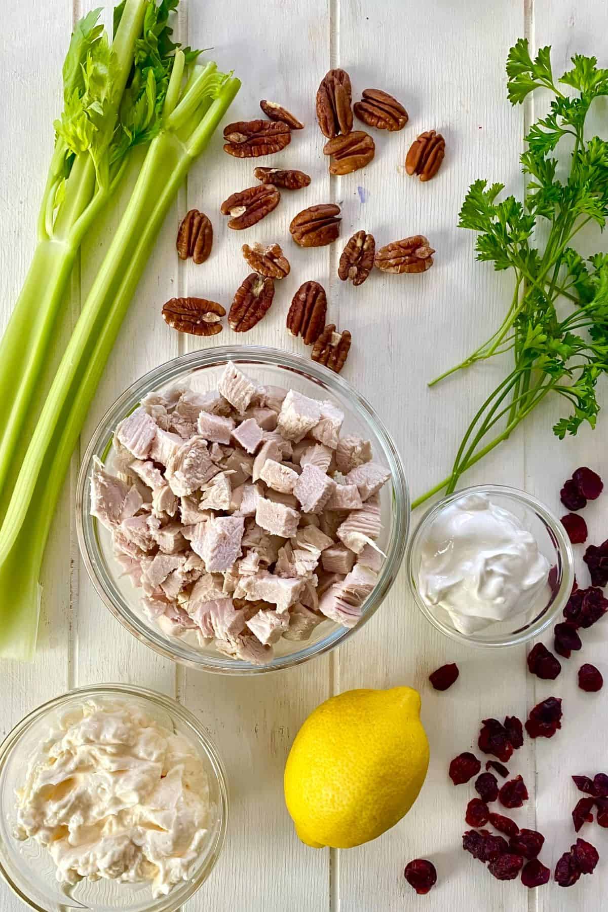 cooked chicken, dried cranberries, celery, pecans, lemon, mayonnaise, sour cream, parsley.