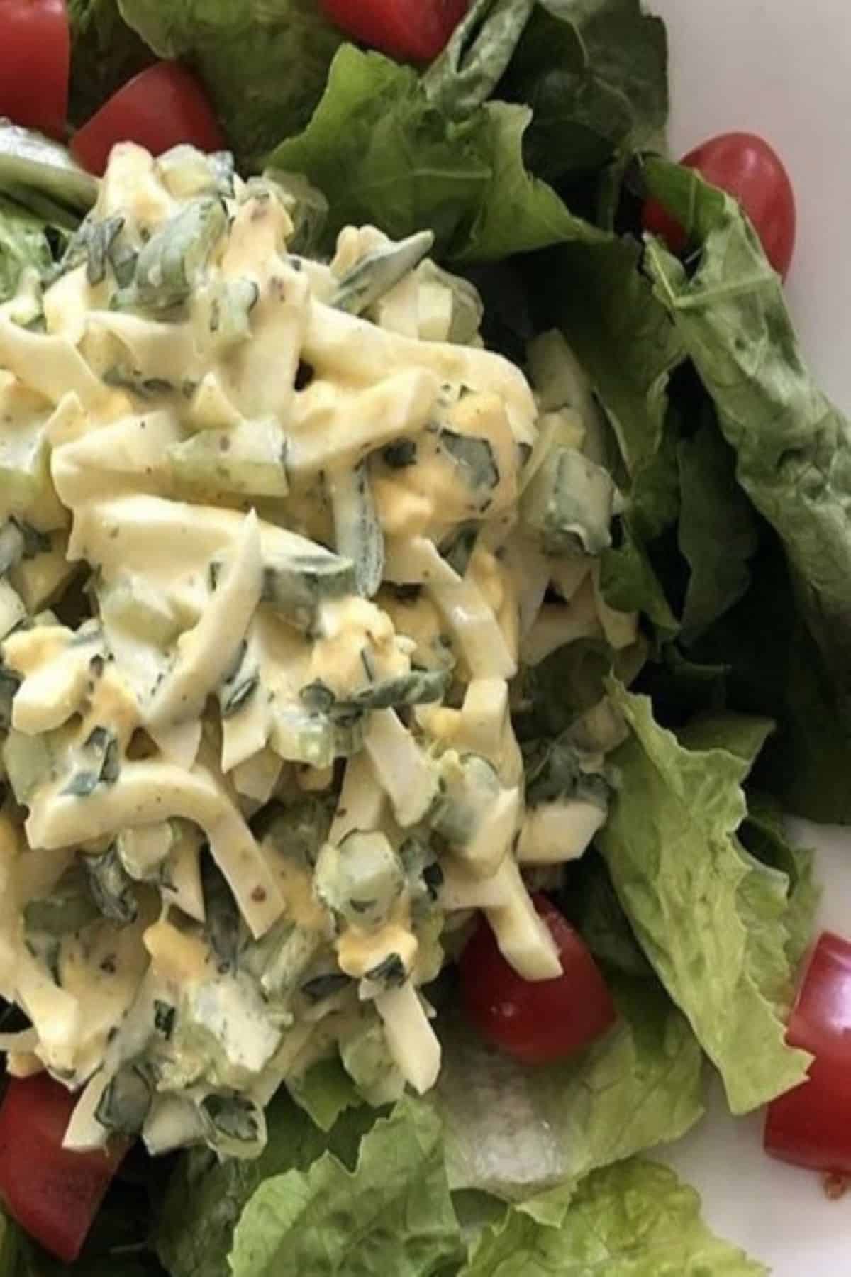Deviled egg salad over lettuce in a bowl.