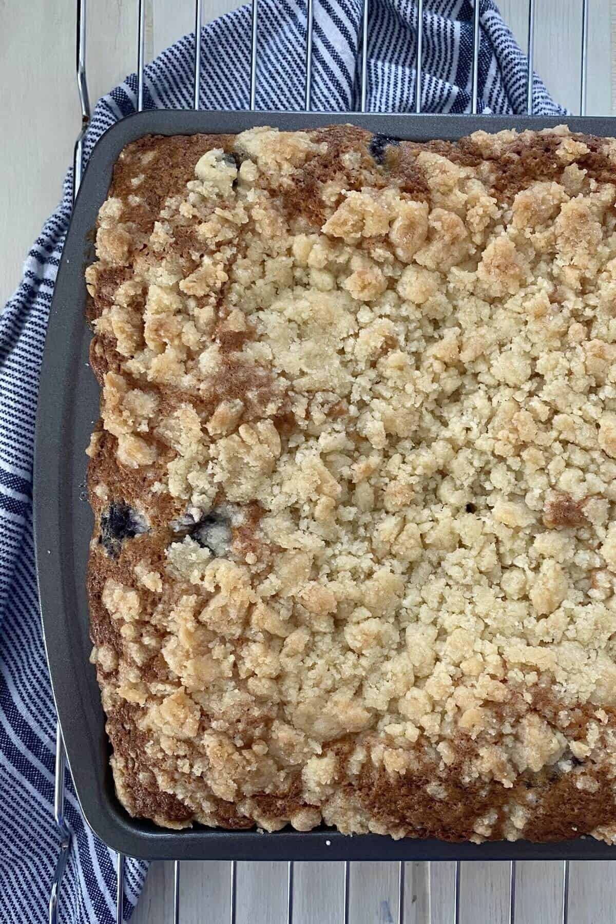 A blueberry cake without icing.