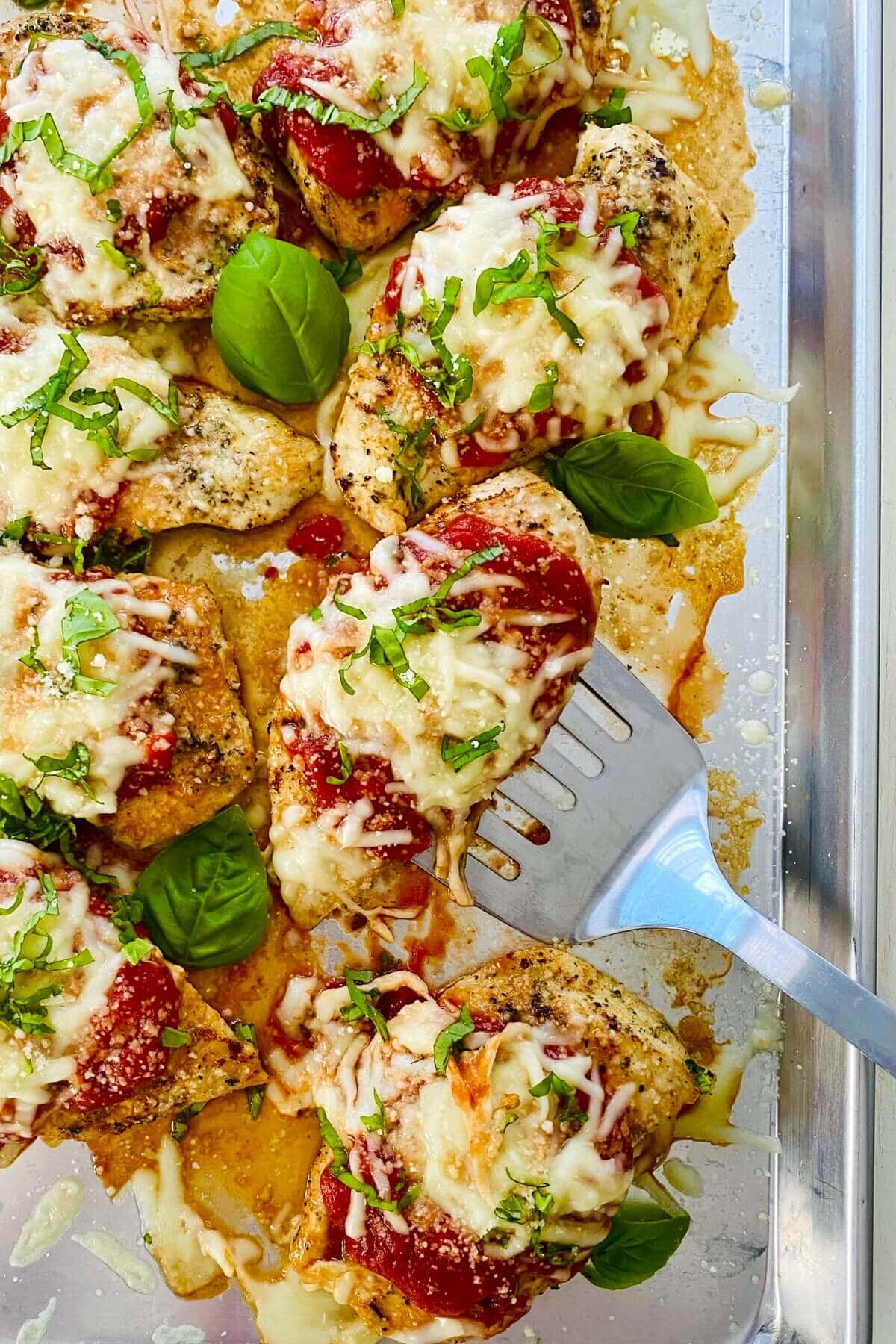 keto and low carb chicken parmesan on a spatula with fresh basil.