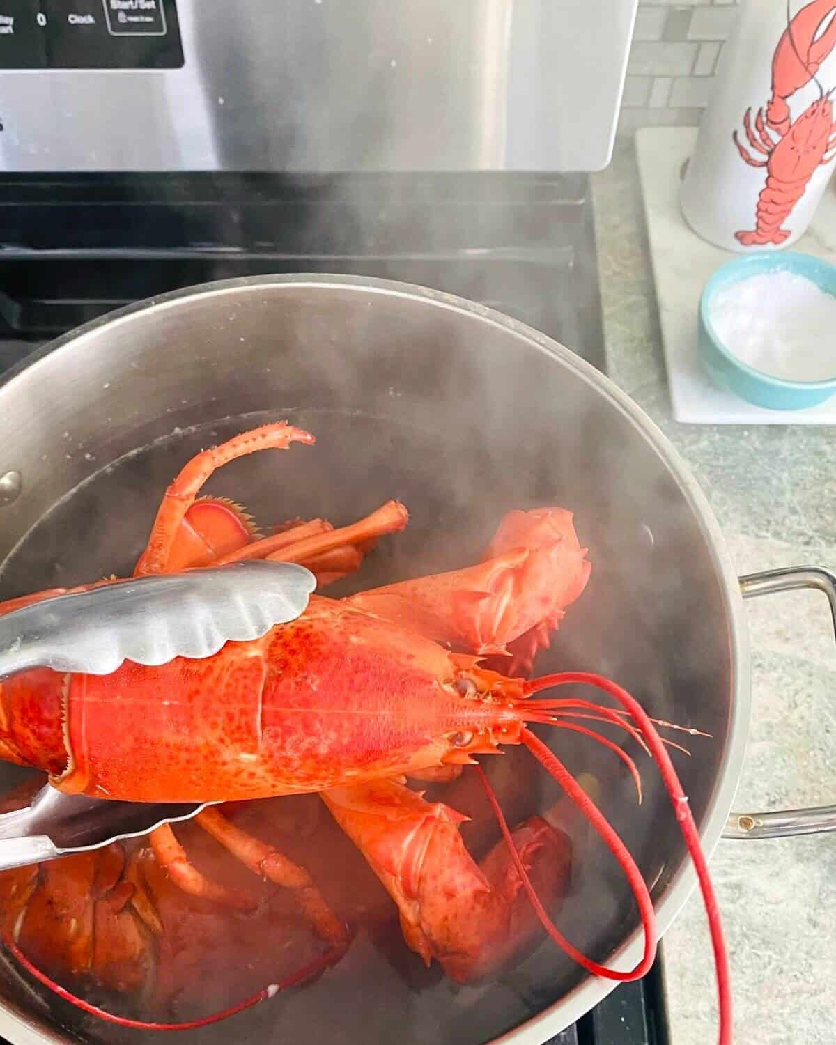 steamed lobster.