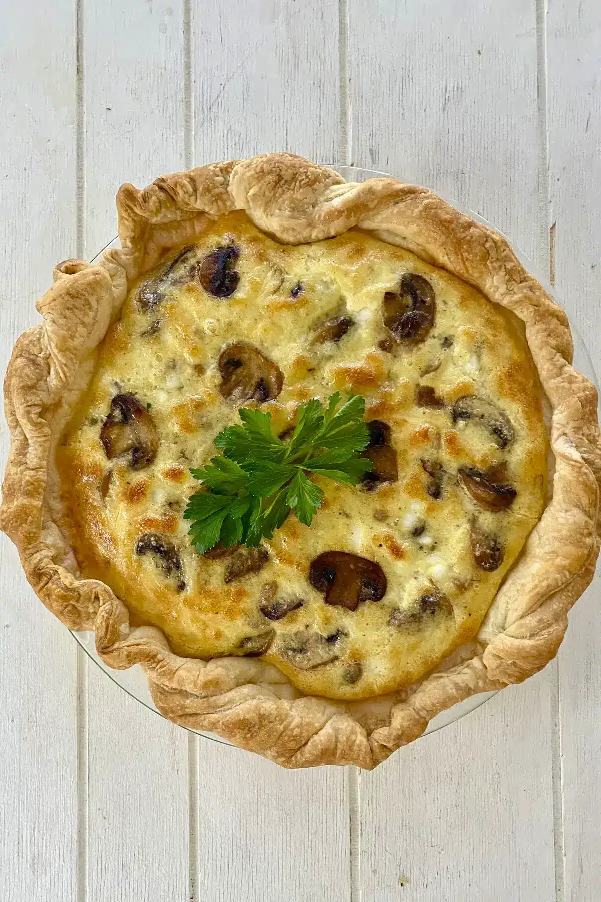 a whole baked mushroom quiche.