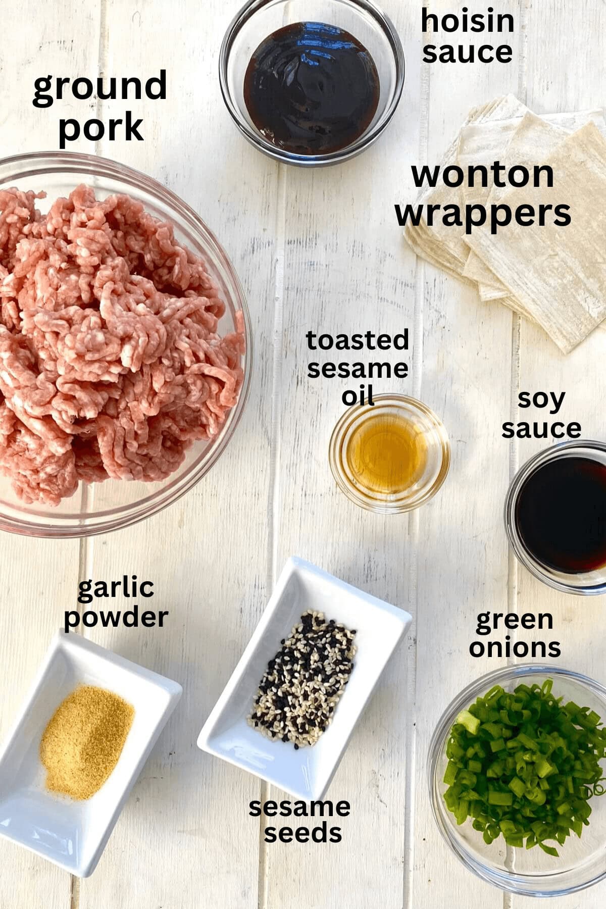 Ground pork, soy sauce, hoisin sauce, green onions, garlic powder, wonton wrappers, sesame seeds, toasted sesame oil.