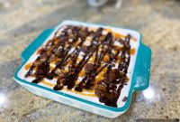 Effortless Turtle Decadence
