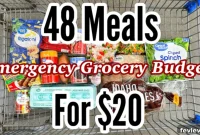 48 Meals For $20: Quick Easy Cheap Meal Ideas For Emergency Budgets