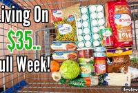 Crisis Kitchen: Feeding Four on $35 a Week