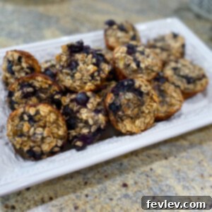 Delicious Baked Blueberry Oatmeal Cups, perfect for a healthy, portable breakfast or snack. Fresh blueberries and oats baked into convenient muffin shapes.