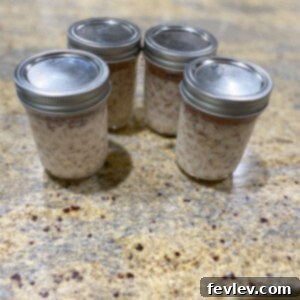 Delicious Apple Cinnamon Overnight Oats in a jar, garnished with fresh apple slices and a cinnamon stick, ready for a healthy grab-and-go breakfast.