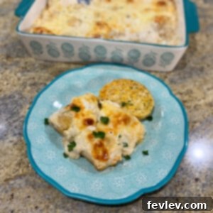 Delicious Chicken Broccoli Alfredo Stuffed Shells ready to serve