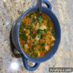 A hearty and comforting bowl of homemade lentil potato soup, garnished with fresh herbs, perfect for a cold day.