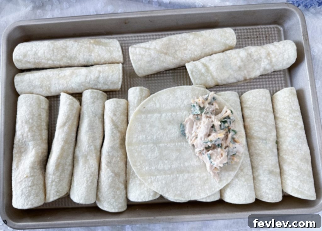 cheesy chicken taquitos rolled, preparing taquitos for frying