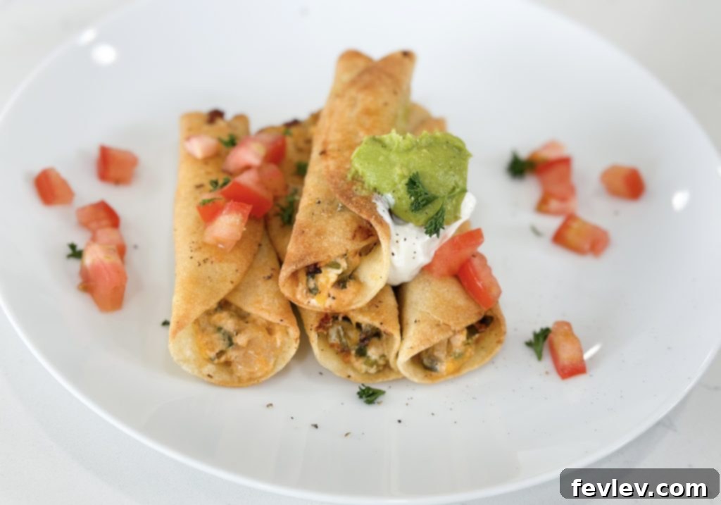 cheesy chicken taquitos leftovers, stored taquitos