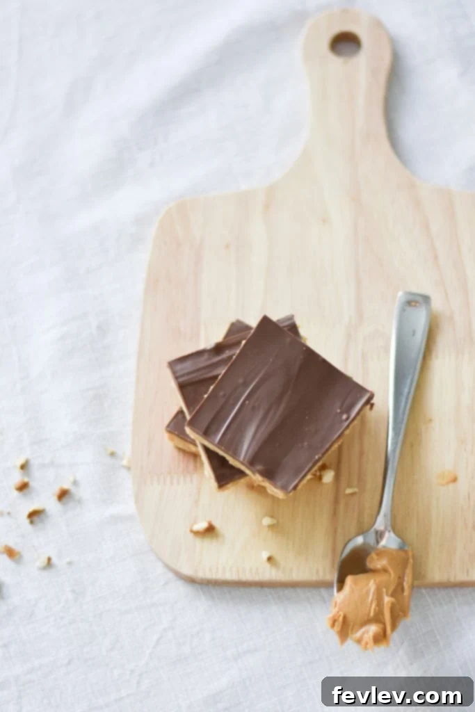 Delicious No-Bake Peanut Butter Bars topped with chocolate