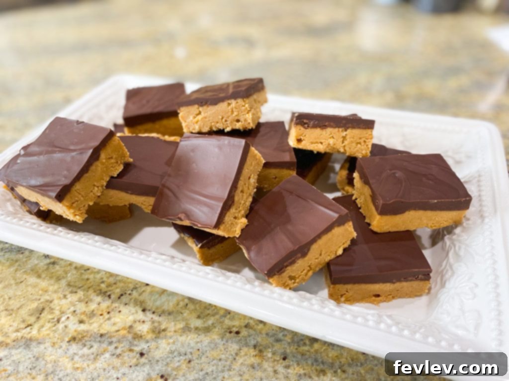 Rich No-Bake Peanut Butter Bars with a decadent chocolate topping, a perfect easy dessert for peanut butter lovers