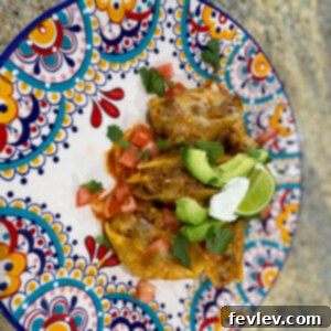 Delicious Taco Stuffed Shells baked until golden and bubbly, topped with fresh cilantro.