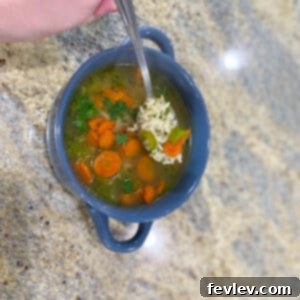Hearty Vegetable and Rice Soup in a bowl