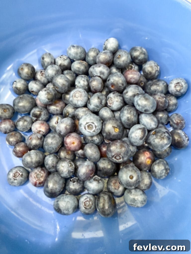 fresh blueberries