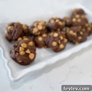 Delicious Chocolate Peanut Butter Cake Mix Cookies, perfect for a quick and easy dessert.