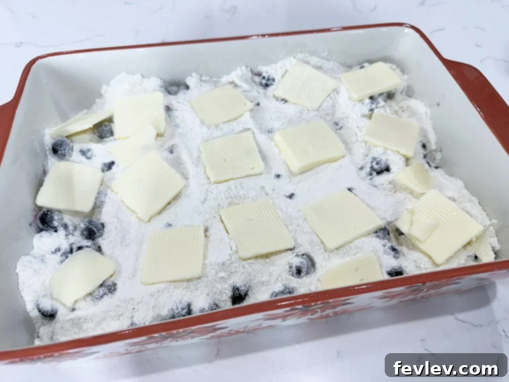 Irresistible Blueberry Crumble Cake 4 Blueberry crumble cake recipe in a baking dish before baking