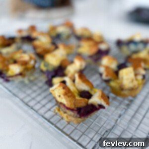 Delicious baked Blueberry French Toast Cups with a sprinkle of powdered sugar and fresh blueberries.