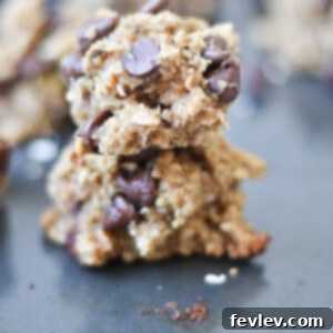 Close-up of a single Breakfast Power Cookie with visible oats and chocolate chips, indicating its wholesome goodness.