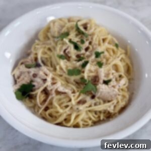 Cozy Slow Cooker Creamy Chicken Pasta 10 The Best Creamy Chicken Pasta