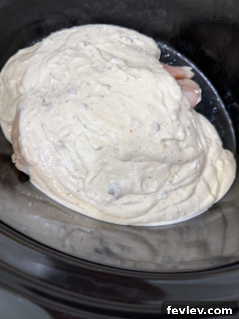 Cozy Slow Cooker Creamy Chicken Pasta 6 Chicken breasts covered in rich creamy sauce in slow cooker