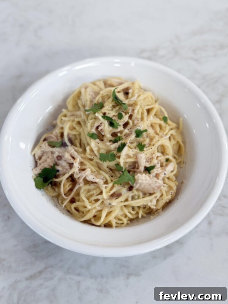 Cozy Slow Cooker Creamy Chicken Pasta 9 A simple and delicious plate of creamy chicken pasta