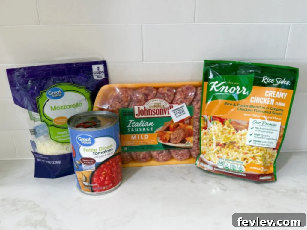 Hearty Italian Sausage and Rice 3 Fresh ingredients laid out for Italian Sausage and Rice dinner, including sausage, rice, tomatoes, and cheese