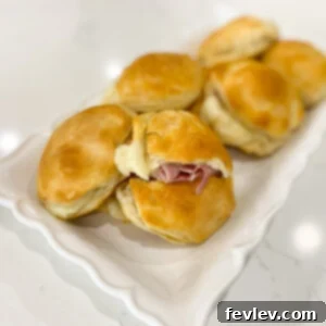 Delicious Ham and Cheese Biscuits, warm and fluffy with melted cheese