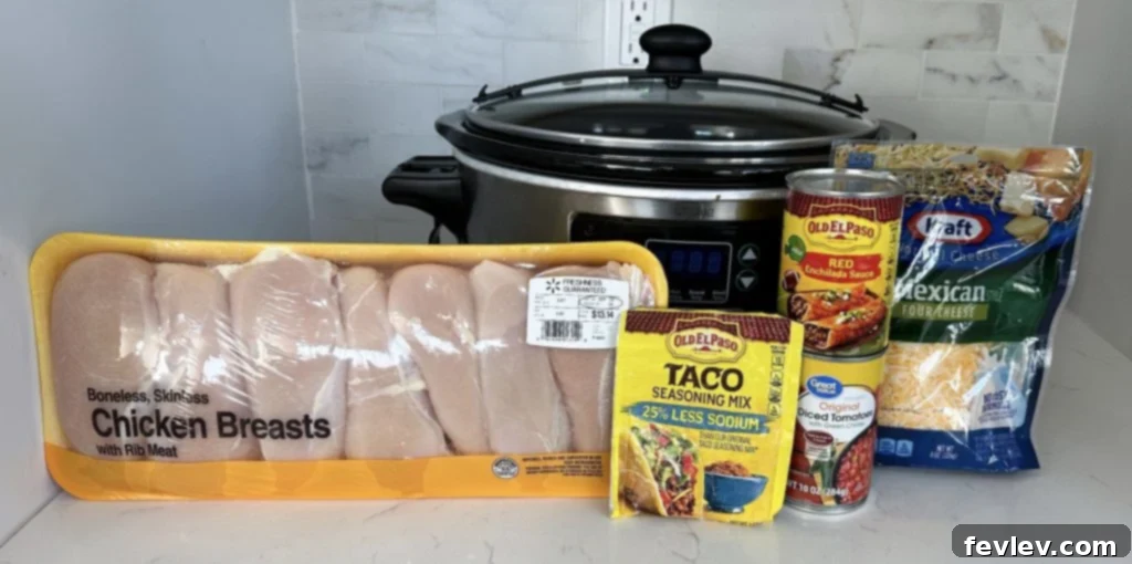 Hearty Slow Cooker Chicken Tortilla Soup 2 Ingredients for homemade slow cooker chicken tortilla soup