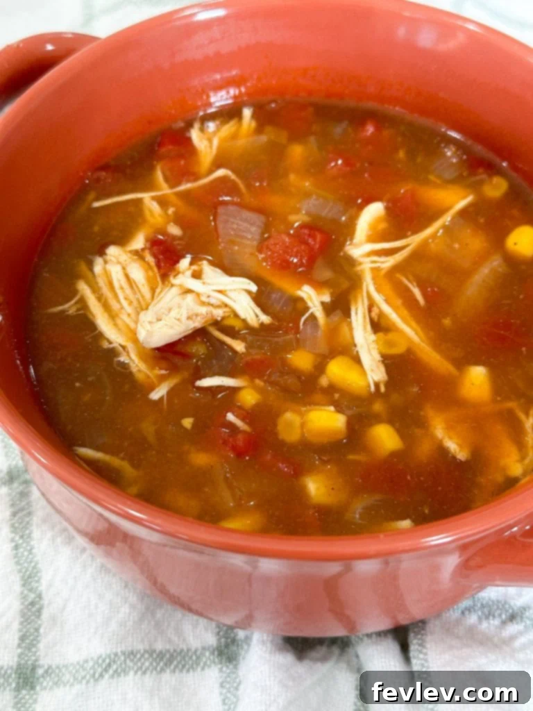 Hearty Slow Cooker Chicken Tortilla Soup 5 Slow cooker chicken tortilla soup with toppings