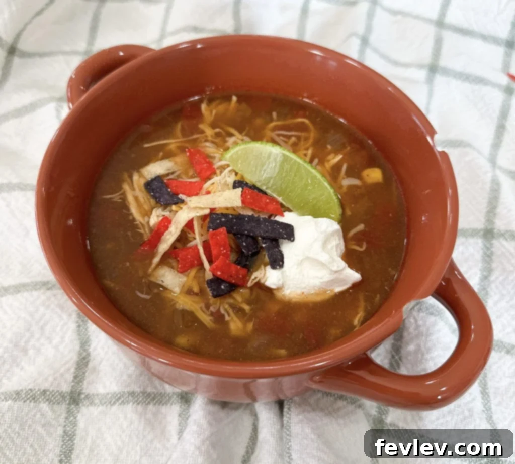 Hearty Slow Cooker Chicken Tortilla Soup 6 Hearty slow cooker chicken tortilla soup