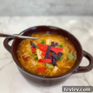 slow cooker chicken tortilla soup