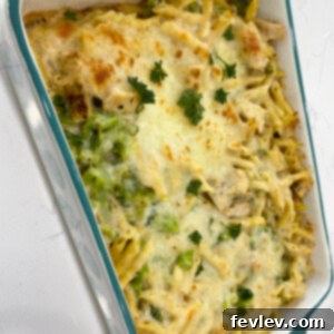 Creamy Chicken Alfredo Casserole with Broccoli