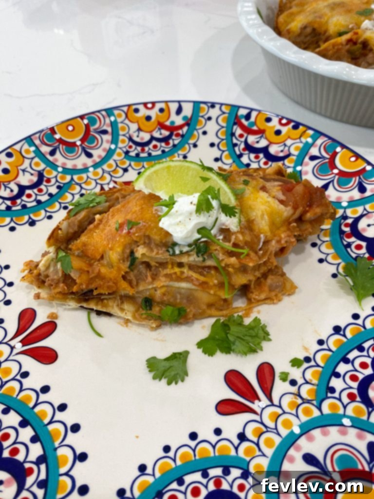 Effortless Five-Ingredient Mexican Casserole 2 A vibrant Mexican Casserole, layered with beans, tortillas, salsa, and cheese, ready to be served. Ideal for a family dinner.