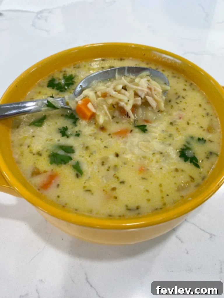 A steaming bowl of creamy chicken orzo soup garnished with fresh parsley.